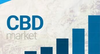 Market Boom: How Much Is The CBD Market Really Worth?